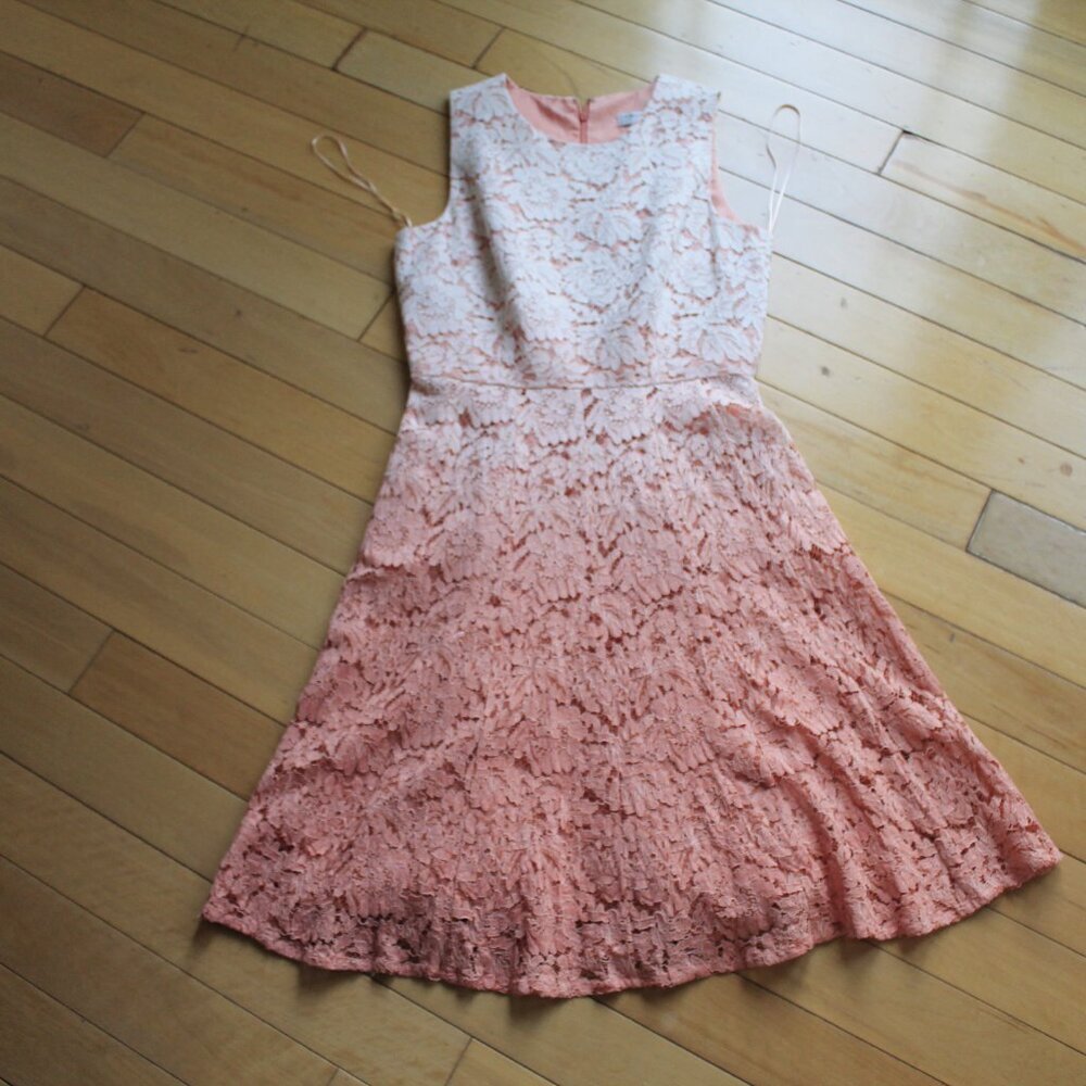 Trina Turk Carpenteria Ombre Lace Sleeveless Dress Size 4 - Picture 2 of 13